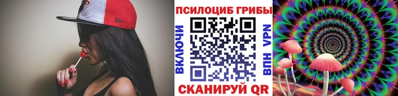 Псилоцибиновые грибы GOLDEN TEACHER Купить Зима