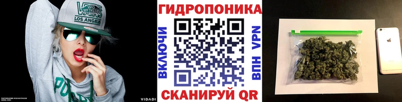 Каннабис гибрид  Купить где  Зима 
